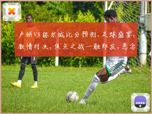 卢顿vs赫尔城比分预测,足球盛宴,激情对决,焦点之战一触即发,悬念揭晓
